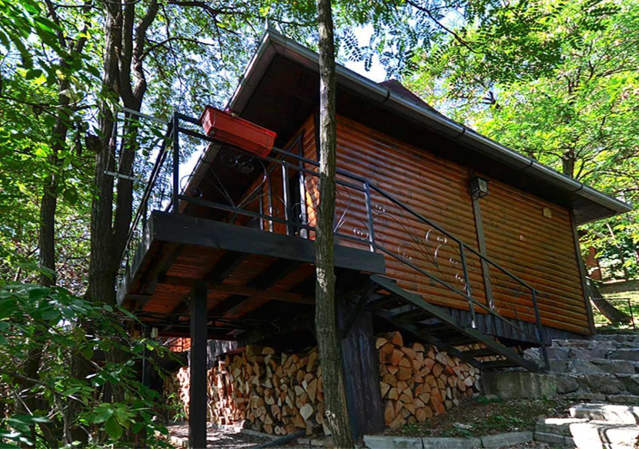 Oaza Prirode, Brvnare Platan Apartment Vrdnik Luaran gambar
