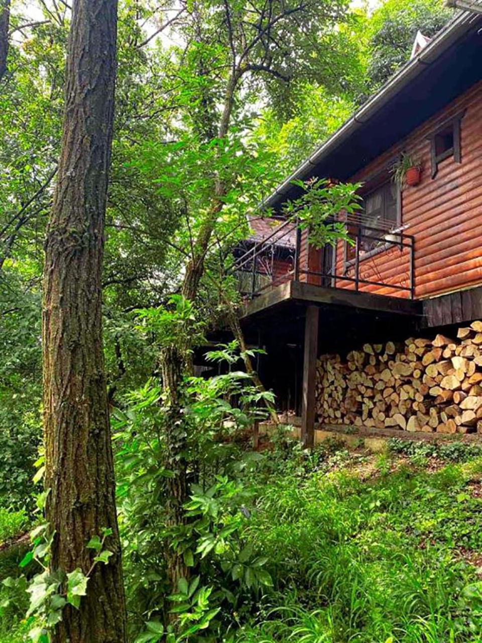 Oaza Prirode, Brvnare Platan Apartment Vrdnik Luaran gambar