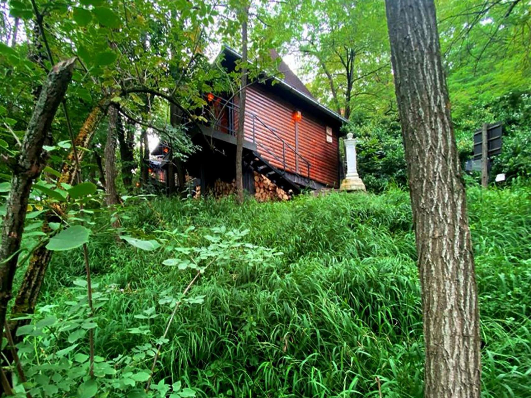 Oaza Prirode, Brvnare Platan Apartment Vrdnik Luaran gambar