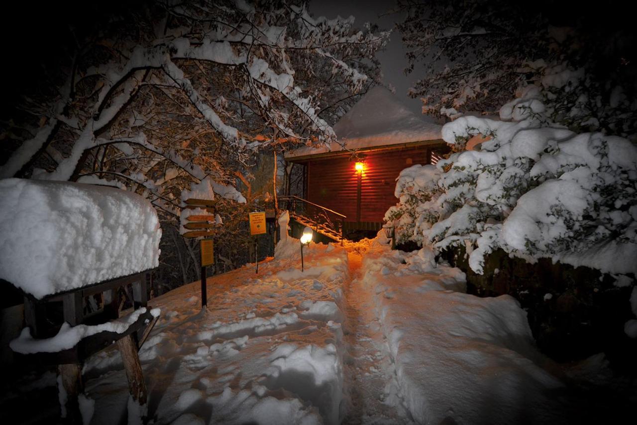 Oaza Prirode, Brvnare Platan Apartment Vrdnik Luaran gambar